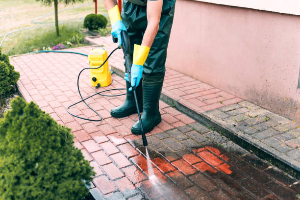 Best Affordable Pressure Washing  in Ester, AK