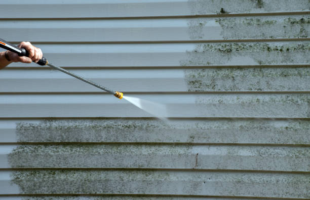 Best Local Pressure Washing Services  in Ester, AK