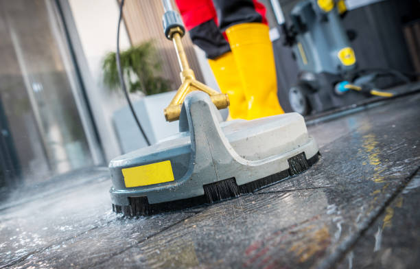 Roof Power Washing Services in Ester, AK