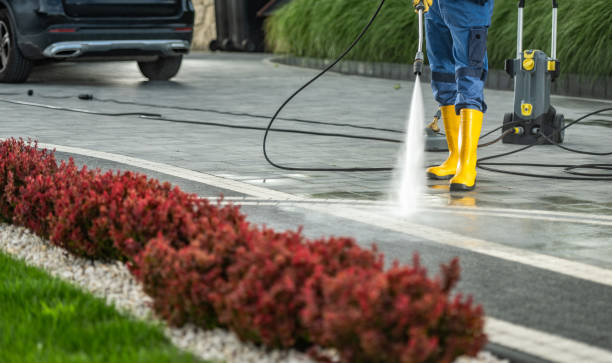 Best Fence Pressure Washing  in Ester, AK